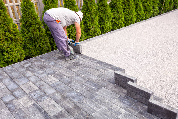 Best Driveway Paving Contractor  in Carolina Forest, SC