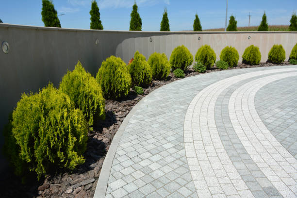 Best Driveway Paving Company  in Carolina Forest, SC